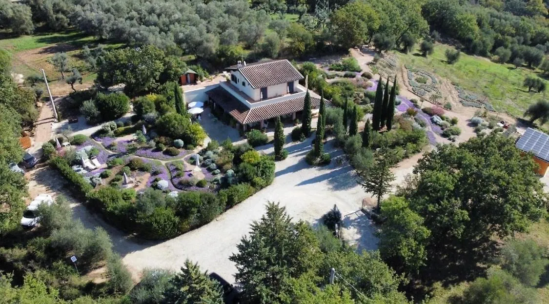 サトゥルニア Casale Terre Rosse Bed & Breakfast イタリア