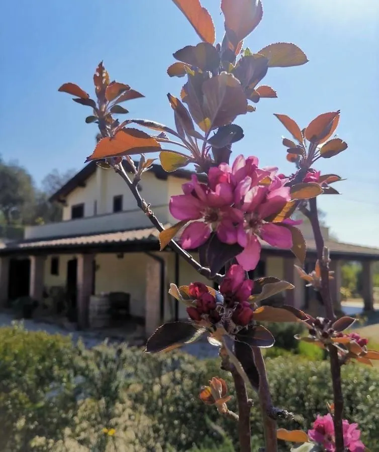 Casale Terre Rosse Bed & Breakfast Saturnia
