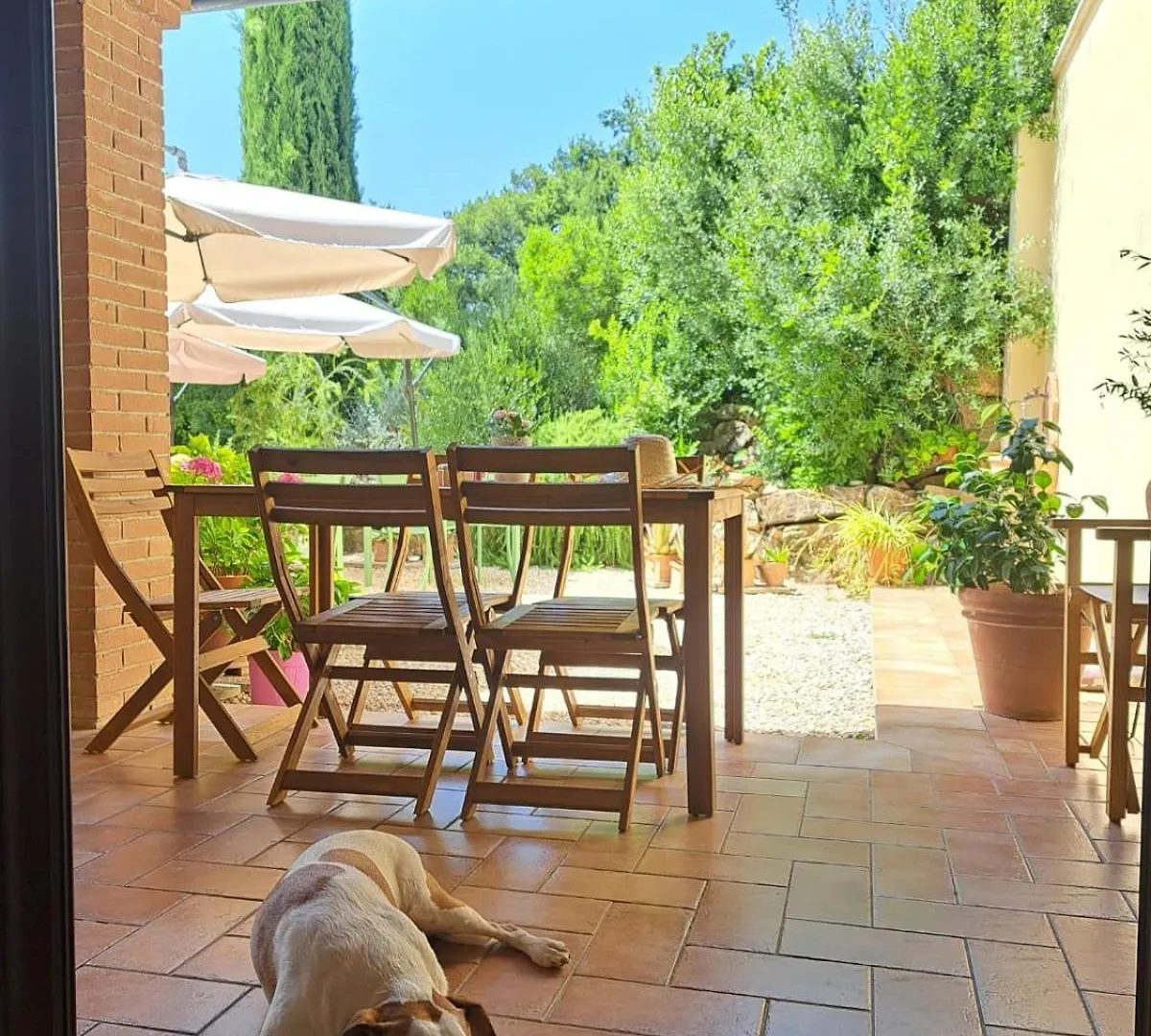 Casale Terre Rosse Bed & Breakfast Saturnia 0*,  Italy